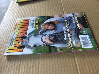 HEVOSHULLU 20/2002 HYVÄ