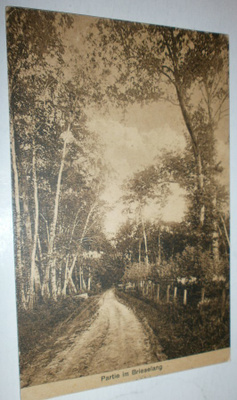 Brieselang, näkymä Brieselangissa, p. 1920 Suomeen