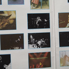 Roy Harper : Flashes From The Archives... 2LP. - pikkukuva 3