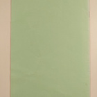 Rengastuksen 100-vuotisjuhlakokous Helsingin yliopistolla... - pikkukuva 2