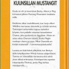 Sharon Siamon, Kuunsillan mustangit - pikkukuva 2