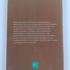 Nina (toim.) Lempa : Kirkko kulttuurin kantajana - pikkukuva 2