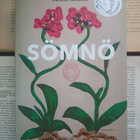 Heikki Kännö - Sömnö (nid.) - pikkukuva 1