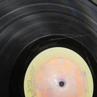 Three Dog Night LP USA 1975 Coming Down Your Way - pikkukuva 4