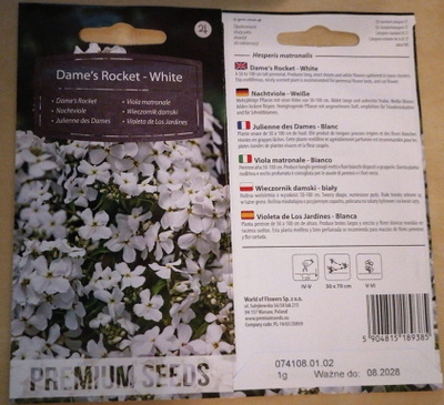 Tarhaillakko "Dame's Rocket White" - siemenet #
