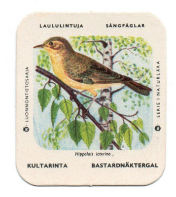 Kahvilappu K-Luonnontietosarja KULTARINTA