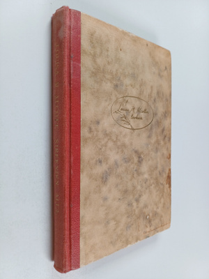 Louisa M. Alcott : Sireenien alla