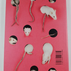 Björn Hegardt : FUKT #15 - Magazine for Contemporary Drawing - pikkukuva 2