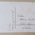 Tiput kuoriutumassa pajunkissojen oksilla, kulk. 1923 - pikkukuva 2