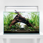 Uniikki akvaariojuurakko 55 cm | P342623 - pikkukuva 2
