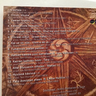 Jarkko Honkanen Taiga / Vaeltaja CD - pikkukuva 2
