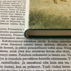 Maria Gripe - Salaisuus varjossa (sid.) - pikkukuva 2