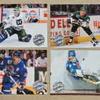 1990-91 ja 1991-92 Pro Set & 1991-92 Pro Set Platinum (NHL) - pikkukuva 2