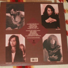 THE DEL LORDS ~ Lovers Who Wander ~ LP - pikkukuva 2