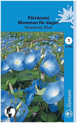 Päivänsini "Heavenly Blue" - siemenet