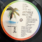 Anthrax – Among the Living LP 1987 - pikkukuva 4