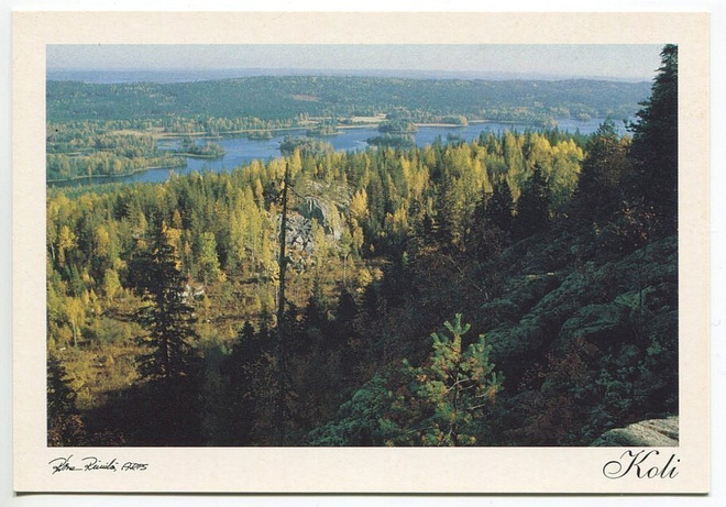 Lieksa Koli, Ryläys 1990-luku