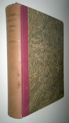 Otto Rombach : Nuori herra Aleksius osa 1