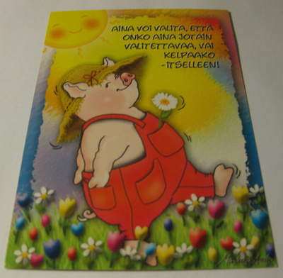 Marleena Ansio kulkematon