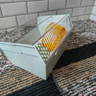 Häkki hamsterin tai hiiren - pikkukuva 2