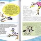 Sudenpentujen lintukäsikirja (sid. 2p. 2013) - pikkukuva 4