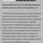 Antti Heikkinen: Matkamies maan - pikkukuva 3