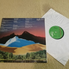 MIKE OLDFIELD - Music Wonderland LP - pikkukuva 2
