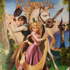 KAKSIN KARKUTEILLÄ DVD - pikkukuva 1