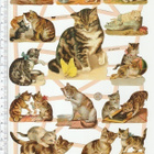 ~ EF 7407, suloiset kissat-arkki ~ - pikkukuva 1