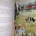 Meidän pihan urheilijat - Yrjö Jylhä & Rudolf Koivu - pikkukuva 3