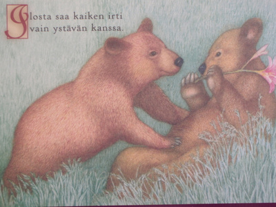 Matti Kota nallet ruohikolla