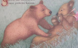 Matti Kota nallet ruohikolla