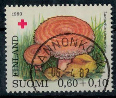 1980 PR lähes loisto KANNONKOSKI -82