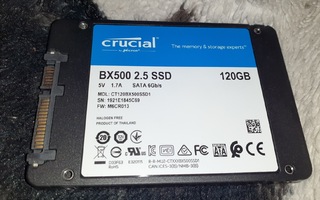 Kovalevy - SSD - 120GB - Crucial