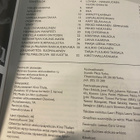 Suomalaisen elokuvan festivaali -katalogit 2007 ja 2019 - pikkukuva 2