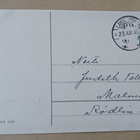 Lapsi ja koira koristelevat joulukuusta, p. 1933 - pikkukuva 2