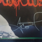 BODY COUNT - BLOODLUST TAULU ICE T:N NIMMARILLA - pikkukuva 2