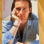 John Corbett Sinkkuelämää ja Salsa se polttaa juliste - pikkukuva 1