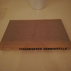 TERÄSMYRSKY KANNAKSELLA - pikkukuva 2