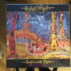 Sielun veljet softwood music under slow pillars LP - pikkukuva 1