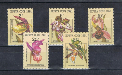 CCCP 1991 - Orkideoita  ++