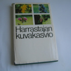 Lorentz Bolin / Jorma Taarna - Harrastajan kuvakasvio - pikkukuva 2