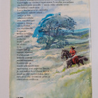 Barbara Michaels : Neitsytvaimo - pikkukuva 2
