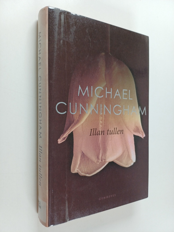 Michael Cunningham : Illan tullen