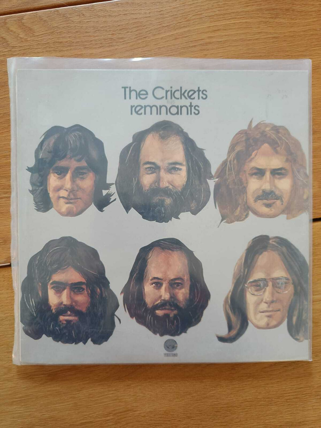 AUCTION - THE CRICKETS REMNANTS LP HOLLANTI -73