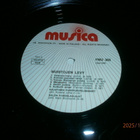 MUISTOJEN LEVY - LP - pikkukuva 3