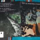 SLEEP OF MONSTERS ~ II: Poison Garden ~ LP MINT - pikkukuva 2