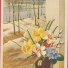 G Forsström Pääsiäiskukat maljakossa - pikkukuva 1