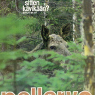 Pellervo n:o 17 1982 Jos olisin ympäristöministeri. Muhos. - pikkukuva 1
