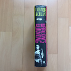 Clinton Heylin : Babylon's Burning - From Punk To Grunge - pikkukuva 3